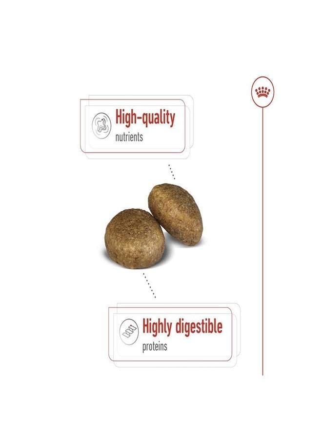 رويال كانين طعام رويال كانين ماكسي للكلاب البالغة، طعام جاف، يدعم صحة الجهاز الهضمي والصحة العامة، ويوفر دعمًا للعظام والمفاصل، 2.5 كجم - Image 3