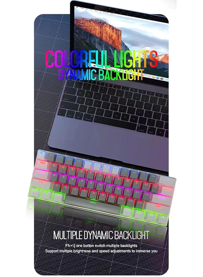 61 Keys Rgb Gaming Keyboard 60% Mini Wired Waterproof With Anti Ghosting Keyboard And Two Color Keycaps With Red Switch For Gamers(Light Gray And White) - Image 2