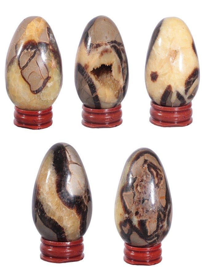 moonsix Natural Septarian Dragon Stone Sculpture Egg Shape Stone with Wooden Stand Crystal Figurine for Feng Shui Witch Decor, 1.97-2.56 inches - Image 3