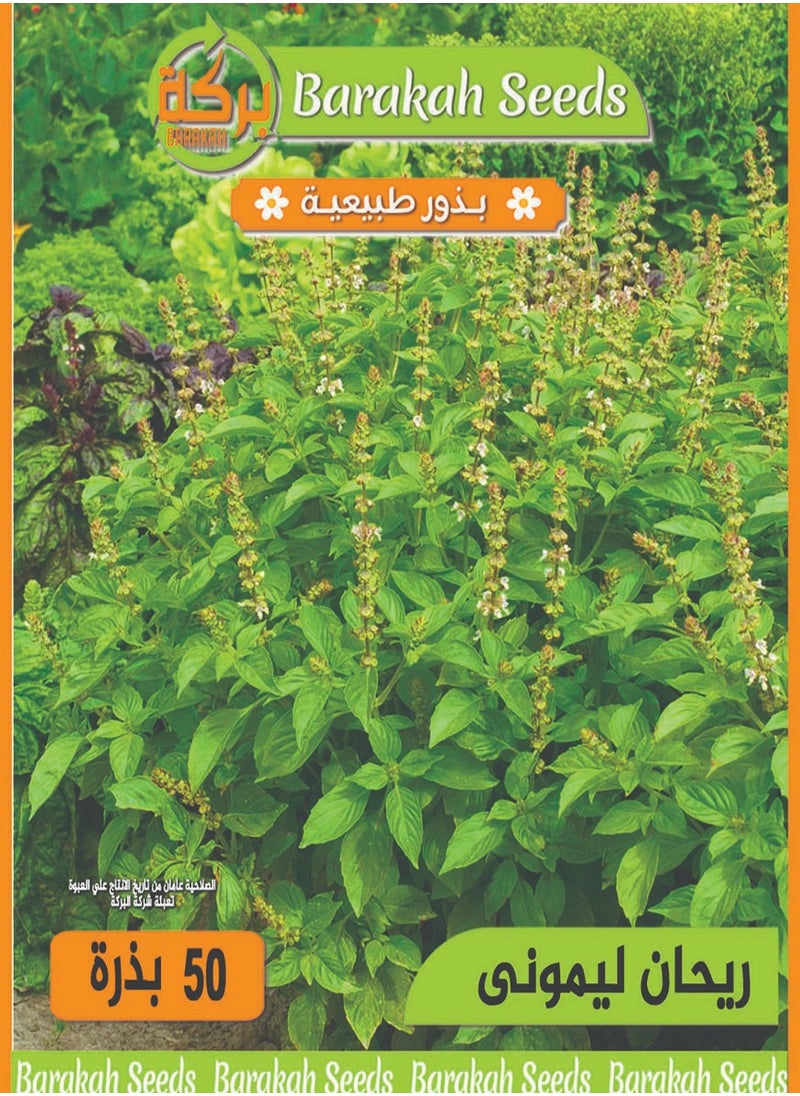Generic High Germination Rate Seeds - Lemon Basil 