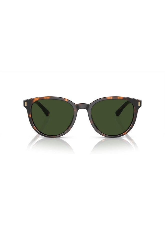 Brooks Brothers Men'S Bb5050U Universal Fit Round Sunglasses Warm Tortoise Biosolid Dark Green 55 Mm - Image 1