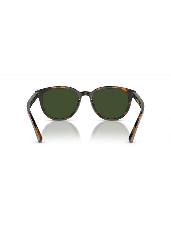Brooks Brothers Men'S Bb5050U Universal Fit Round Sunglasses Warm Tortoise Biosolid Dark Green 55 Mm - Image 4