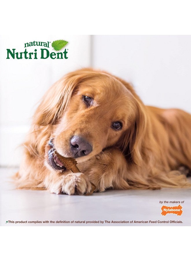 Nylabone Nutri Dent Dog Dental Chews - Natural Dog Teeth Cleaning & Breath Freshener - Dental Treats for Dogs - Filet Mignon Flavor, Large (20 Count) - Image 4
