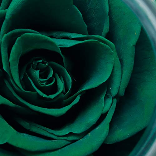 roliys Preserved Real Roses with Colorful Mood Light Wishing Bottle,Eternal Rose，Never Withered Flowers,for Bedroom Party Table Decor, Christmas Decorations,a Gifts for Women 4.3inch1pcs (Green) - Image 5