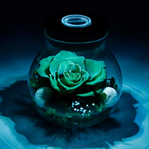 roliys Preserved Real Roses with Colorful Mood Light Wishing Bottle,Eternal Rose，Never Withered Flowers,for Bedroom Party Table Decor, Christmas Decorations,a Gifts for Women 4.3inch1pcs (Green) - Image 4