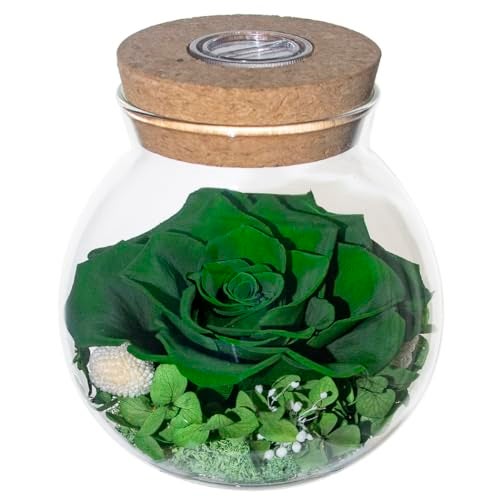 roliys Preserved Real Roses with Colorful Mood Light Wishing Bottle,Eternal Rose，Never Withered Flowers,for Bedroom Party Table Decor, Christmas Decorations,a Gifts for Women 4.3inch1pcs (Green) - Image 1