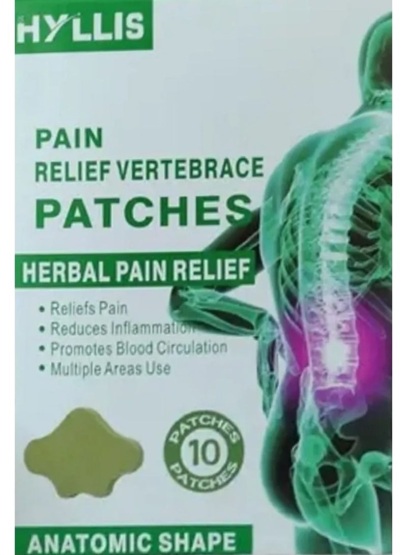 DubaiGallery Hyllis Pain Relief Vertebrace Patches Traditional Moxibustion Stickers Self-heating - Image 1