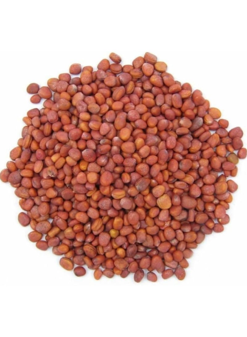RADISH SEED 150 GM