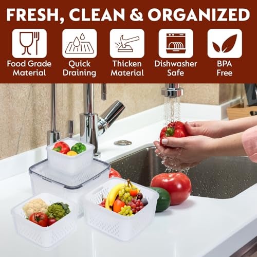 Eloxee Refrigerator Storage Box with Lid – Fridge Fresh Kitchen Organizer for Vegetables & Fruits – Multifunctional Drain Basket – Airtight Polypropylene (PP Container, 4) - Image 4