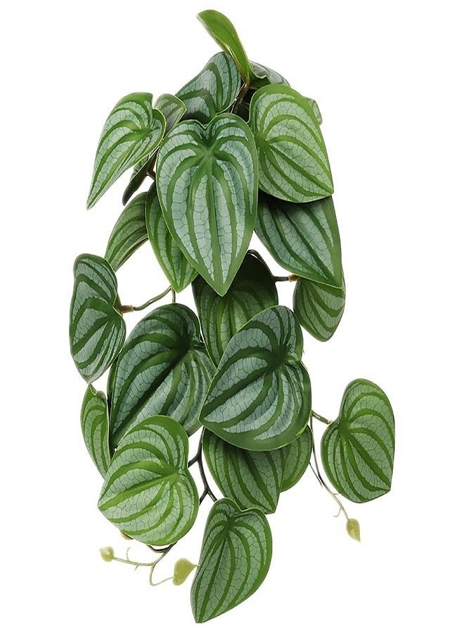 WOLEDOE Reptile Plants for Terrarium, Amphibian Habitat Decor Artificial Hanging Plants with Suction Cup - Fake Calathea Orbifolia - Image 1