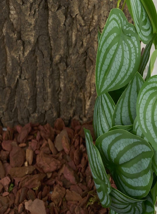 WOLEDOE Reptile Plants for Terrarium, Amphibian Habitat Decor Artificial Hanging Plants with Suction Cup - Fake Calathea Orbifolia - Image 4