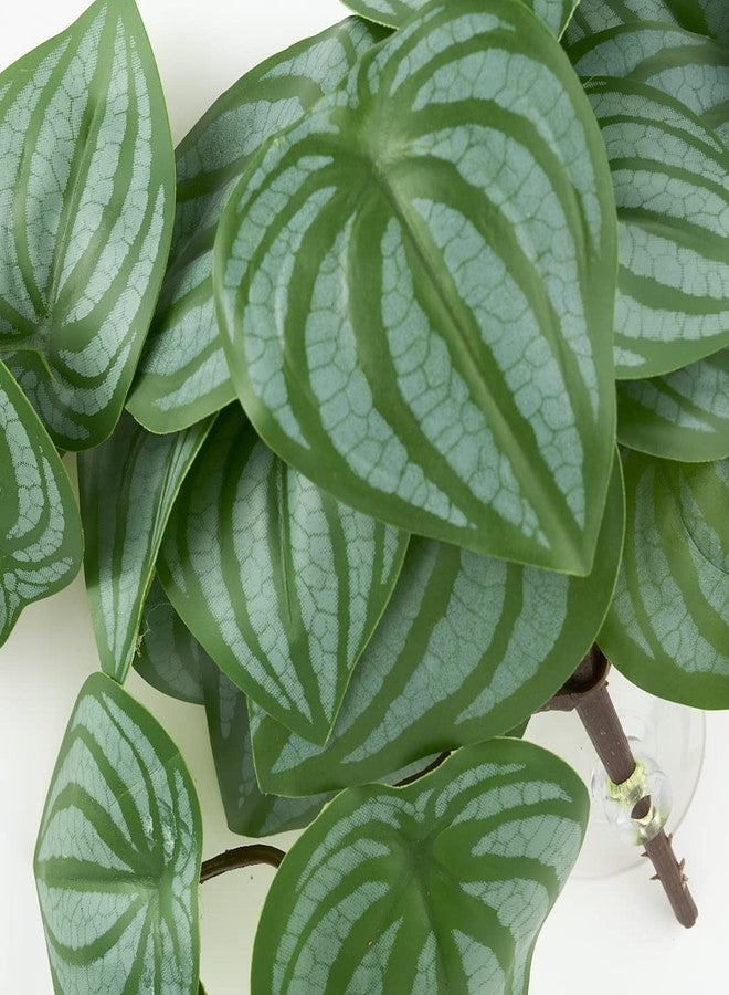 WOLEDOE Reptile Plants for Terrarium, Amphibian Habitat Decor Artificial Hanging Plants with Suction Cup - Fake Calathea Orbifolia - Image 3