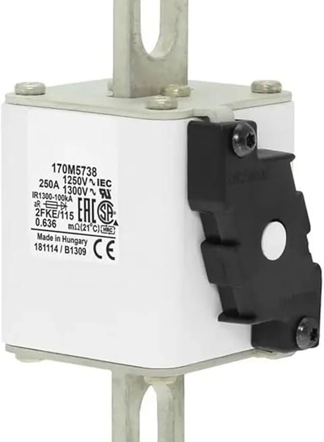 سيلفر فيوز 170M5738 - Image 2