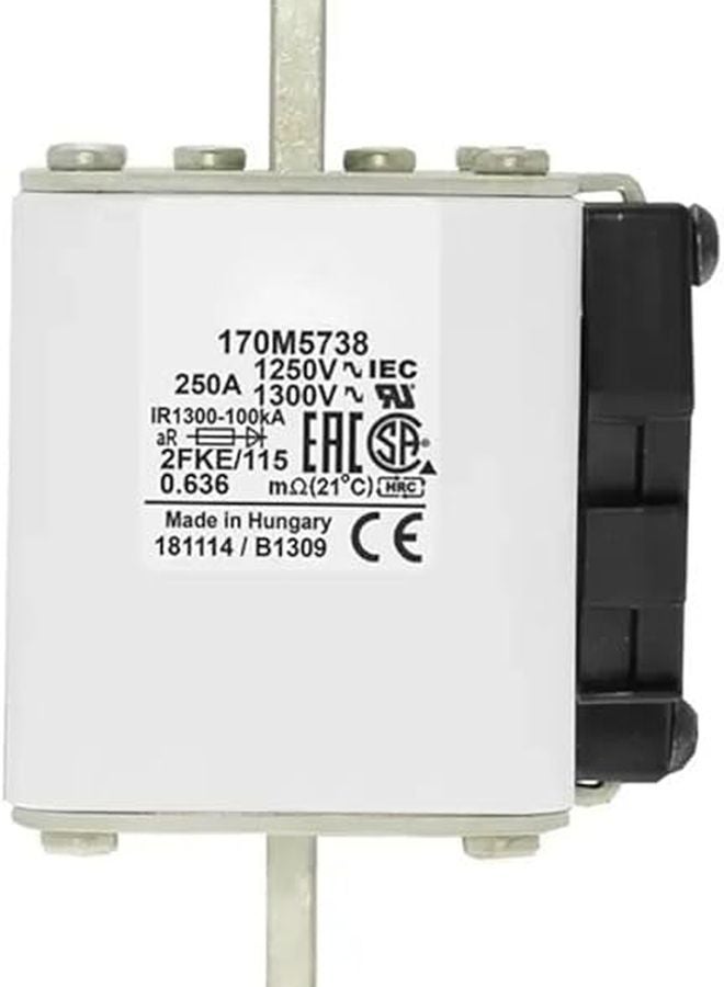 سيلفر فيوز 170M5738 - Image 3