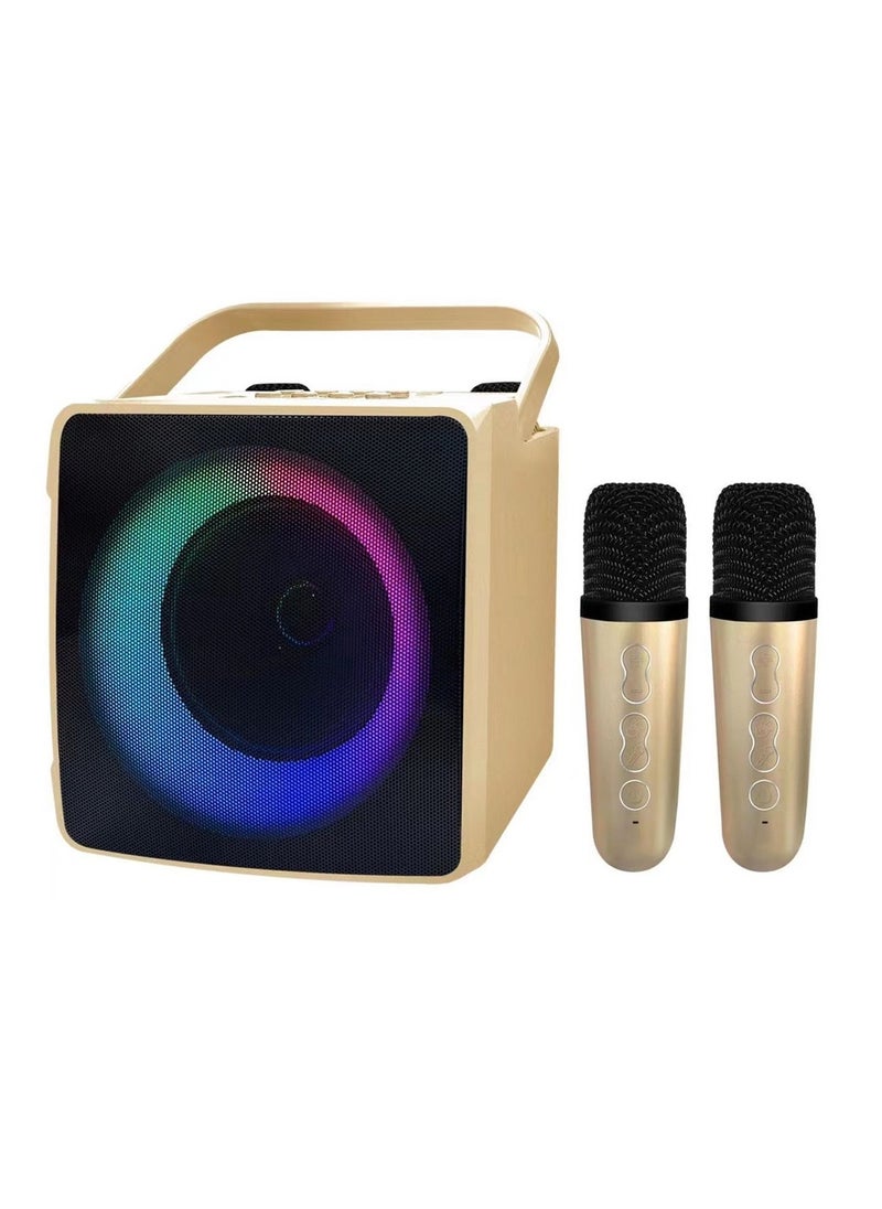 SDRD SDRD SD-508 Home KTV Outdoor Portable Bluetooth Speaker with Dual Wireless Microphones  - Image 1