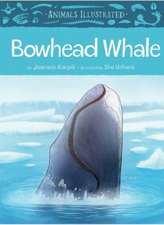 Animals Illustrated: Bowhead Whale - pzsku/ZA9AEC3F9F527585ACCEFZ/45/1746191381/d676e5f3-af19-4d7d-a4f0-62d46731b695