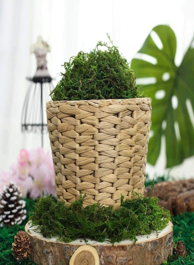 Melostu Fake Moss for Crafts, Artificial Green Moss for Potted Plants Centerpieces Decor (3.5OZ) - Image 4