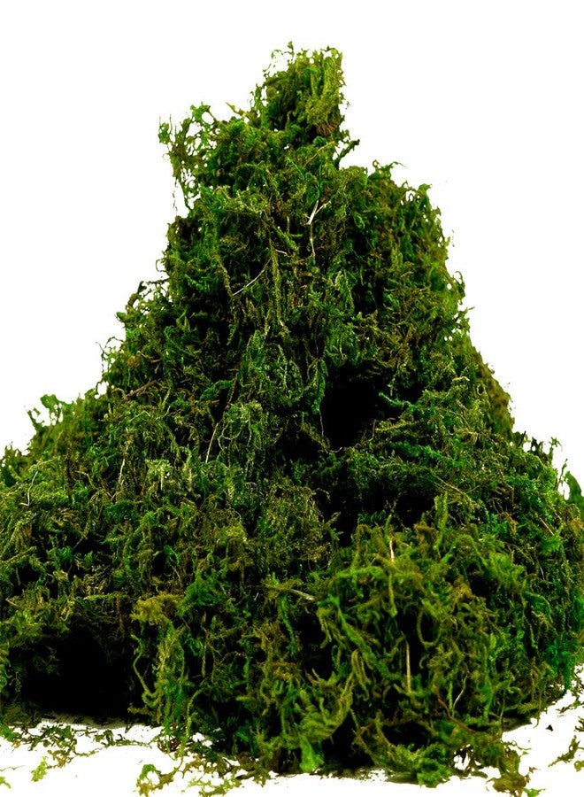 Melostu Fake Moss for Crafts, Artificial Green Moss for Potted Plants Centerpieces Decor (3.5OZ) - Image 1