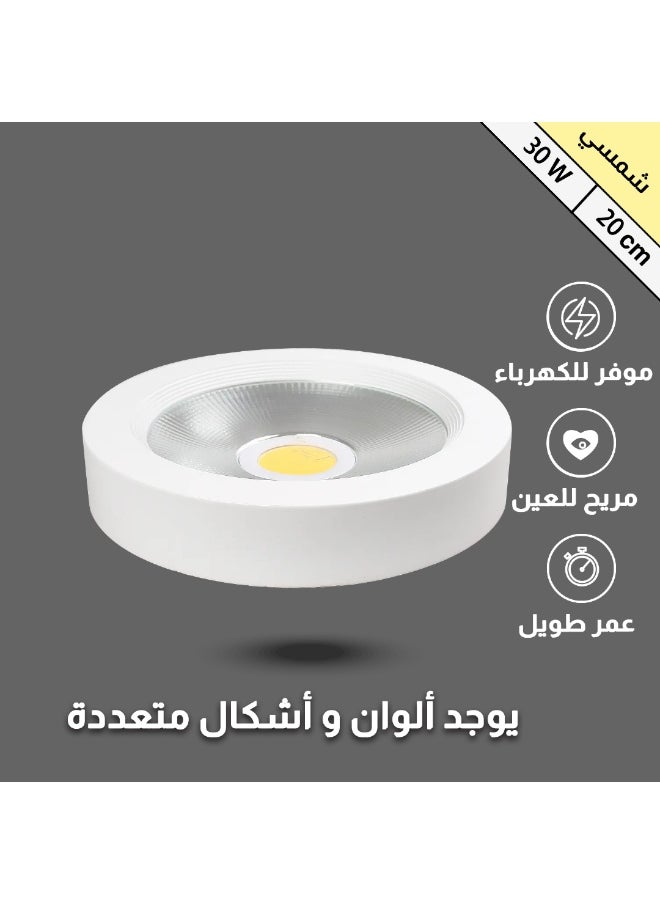 Hummer Floodlight, cream solar color, 20 cm, transparent reflector, 30 watts 