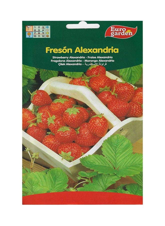 Euro Garden الفراولة من حديقة اليورو 