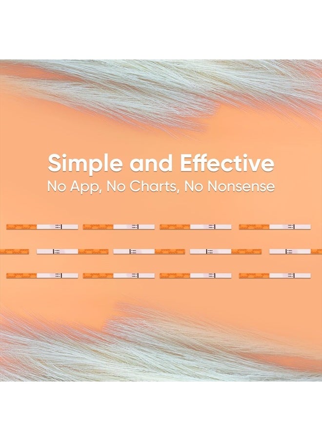 Pregnancy Test Strips - HCG Detection 25 MIU/ml, Home Test of Reliable Result - 25 Count