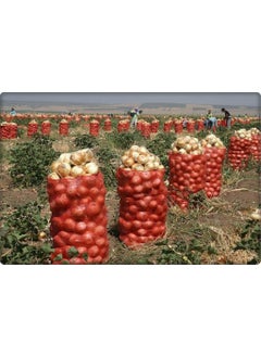 Abdioğlu Onion Sack (20 Kilogram) 100 Pieces 40*70  - Image 4