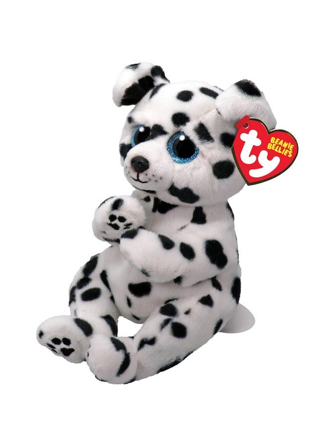 Ty Beanie Bellie Rowdy - Dalmation Dog - 6"", White/Black - Image 1