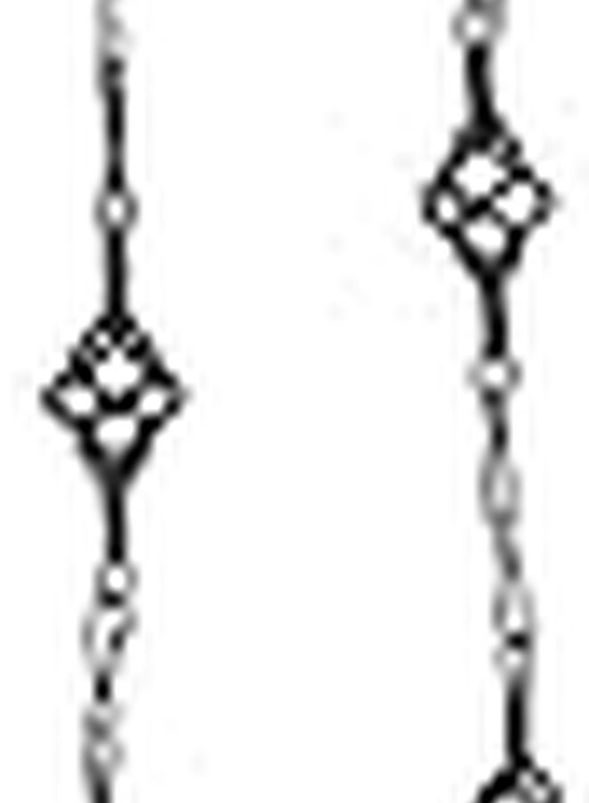 Iron Rain Chain 2M 6 56FT Bird Cage Decorative Gutter Downspout Water Drainage - Image 1
