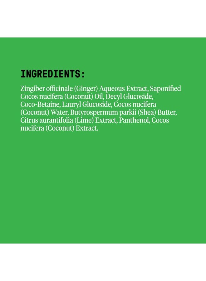 Alaffia Everyday Coconut Shampoo, Dry to Extra Dry Hair, Gentle Support to Cleanse, Hydrate, and Stimulate Hair with African Ginger, Coconut Oil, and Shea Butter, Fair Trade, Coconut Lime, 32 Ounces - Image 2