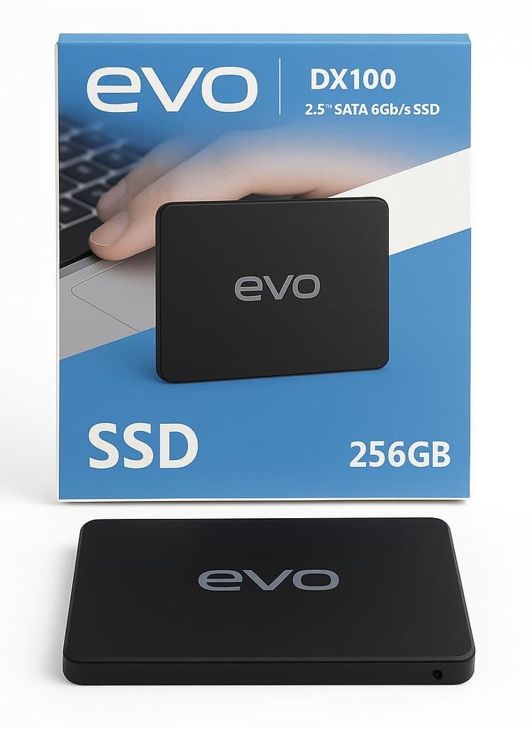 EVO Internal Hard Disk DX100 2.5" Sata 6GB/s SSD - 256 GB  - Image 1