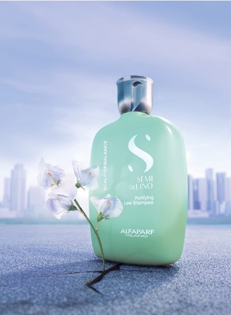 Alfaparf Milano Semi Di Lino Scalp Rebalance Purifying Low Shampoo 250 ml - Image 2