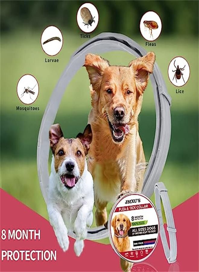 Set of 3 - 65cm Dog Pest Control Collar - White, Protects Against Fleas, Ticks, and Mosquitoes - Image 3
