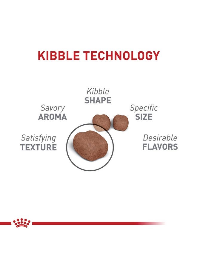 رويال كانين طعام القطط الجاف من Feline Care Nutrition Dental Care، كيس 3 رطل - Image 3