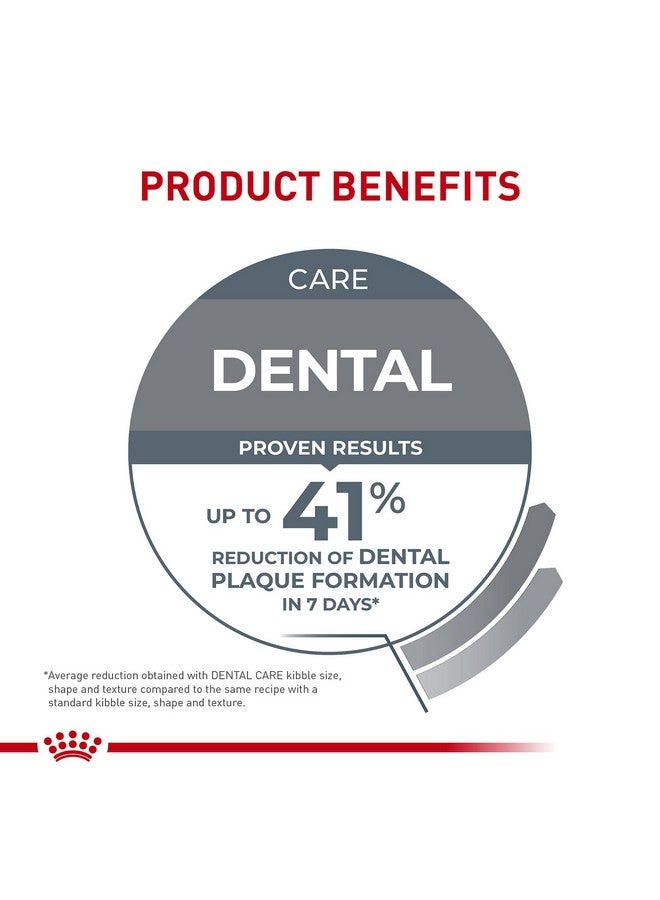 رويال كانين طعام القطط الجاف من Feline Care Nutrition Dental Care، كيس 3 رطل - Image 5