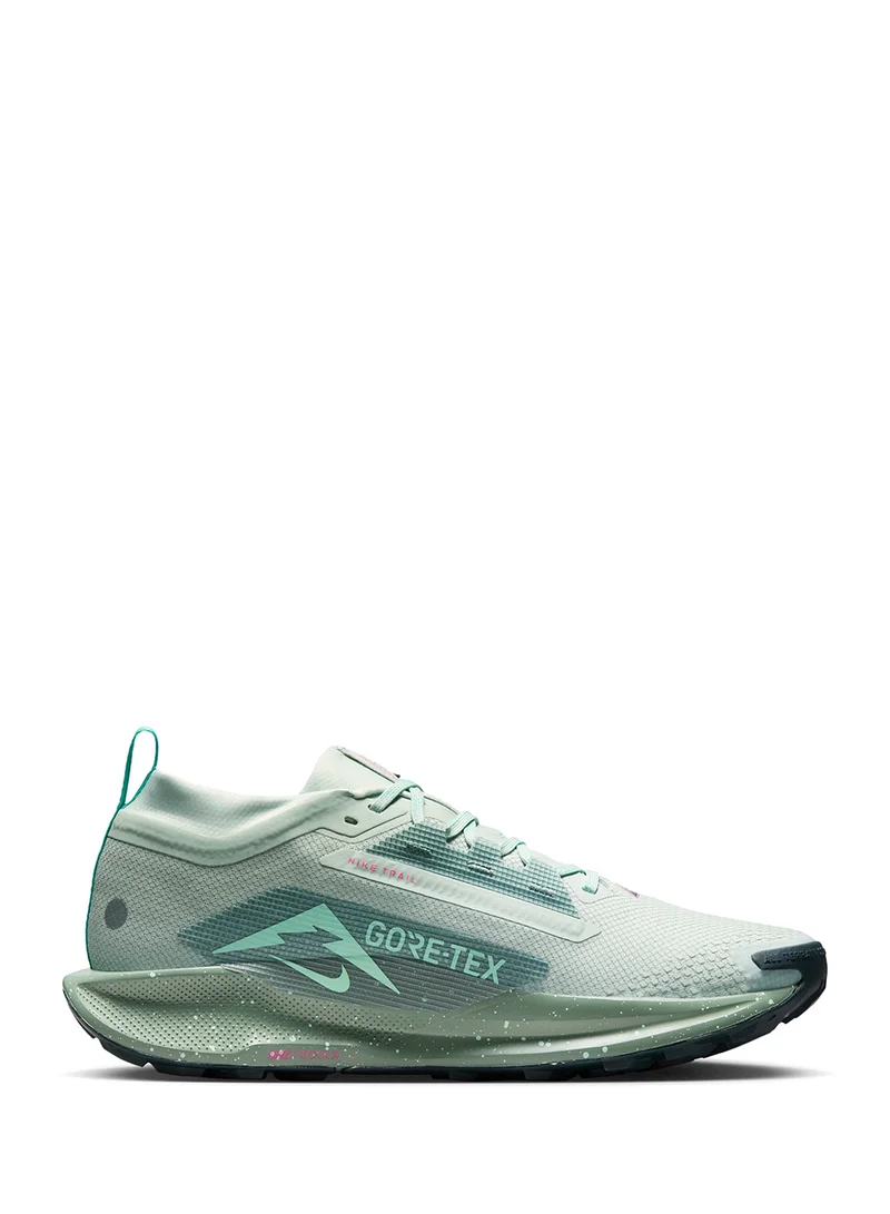 نايكي Reactx Pegasus Trail 5 Gtx