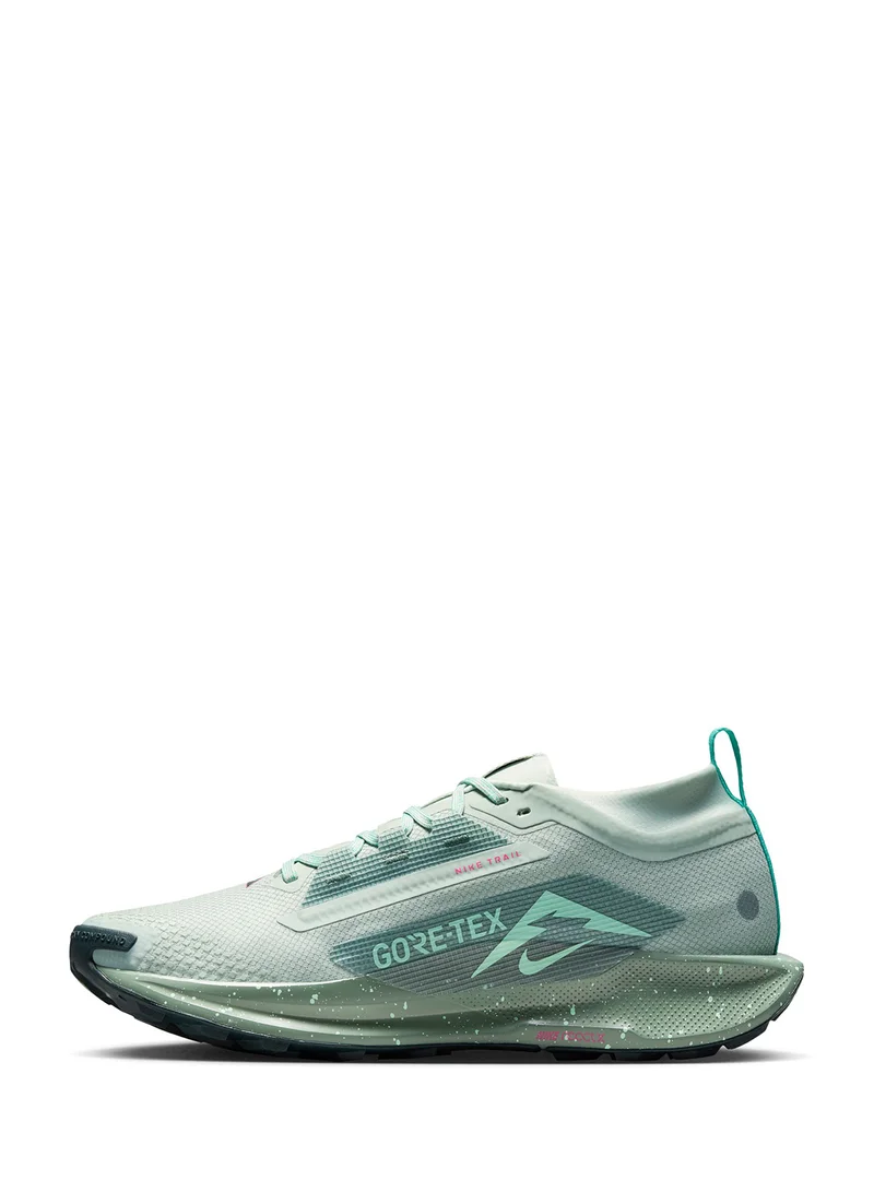 نايكي Reactx Pegasus Trail 5 Gtx