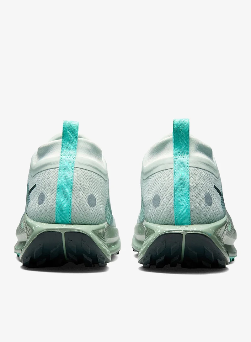 Nike Nike Pegasus Trail 5 GORE-TEX
