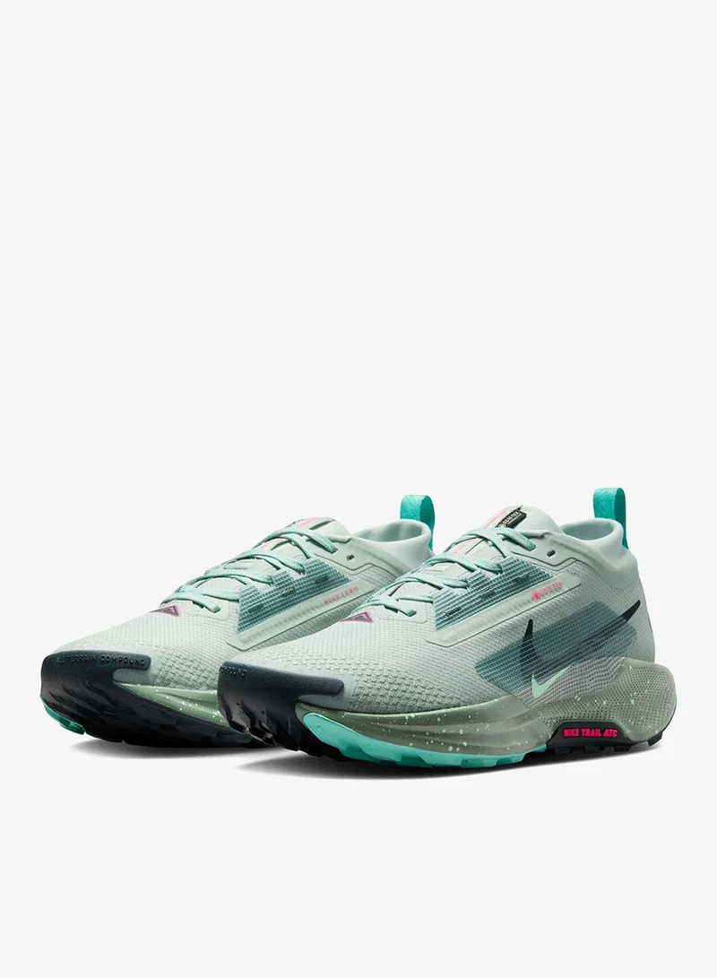 Nike Nike Pegasus Trail 5 GORE-TEX