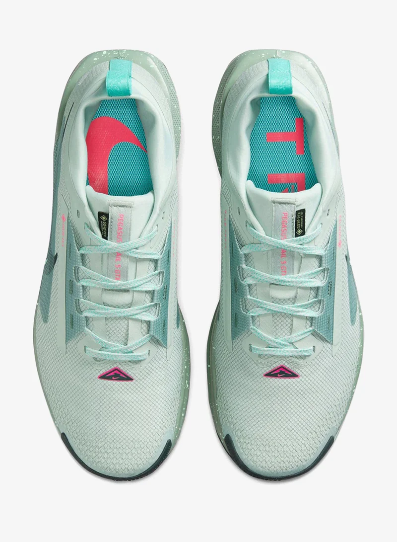 Nike Nike Pegasus Trail 5 GORE-TEX