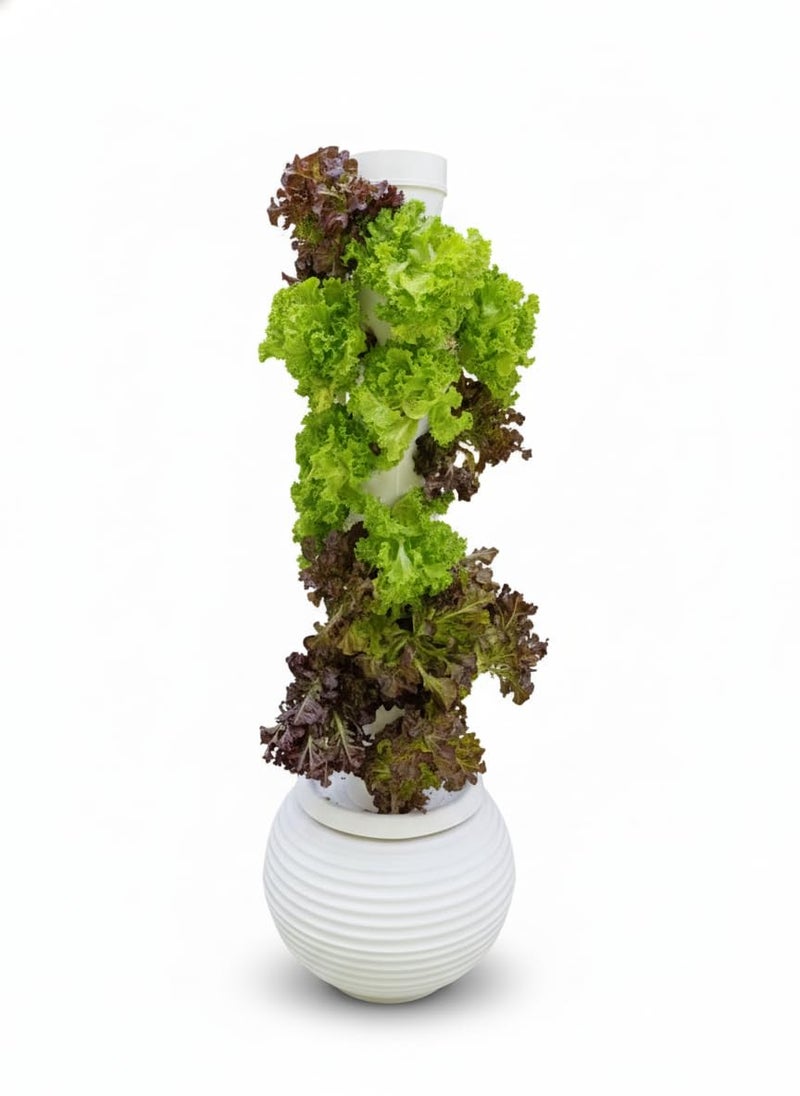 Meridian Poly Hydroponic Tower with Reservoir – Smart Soil-Free Solution for Growing Up to 20 Vegetable and Herb Seedlings in Compact Indoor Spaces - CT - Image 3