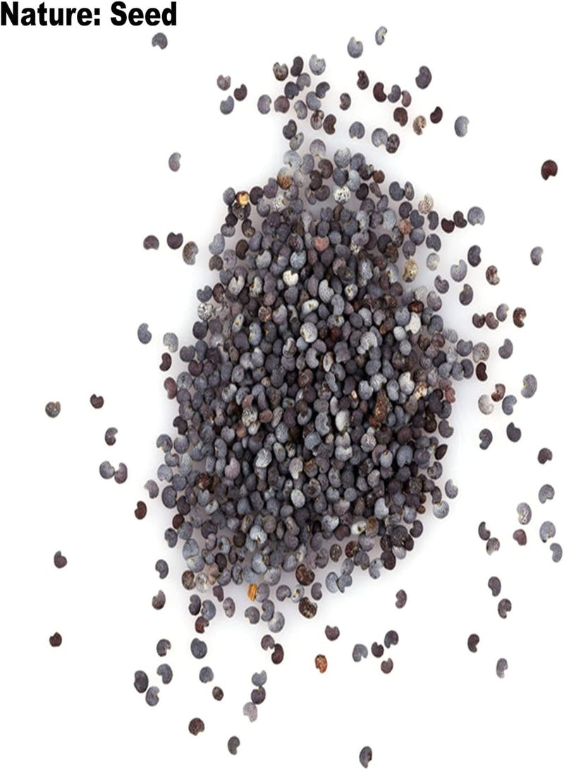 GGOOT 50Pcs/Bag Tropaeolum Seeds, Good Harvest Annual Attractive Bonsai Nasturtium Seeds for Balcony Red Nasturtium Seeds - Image 2