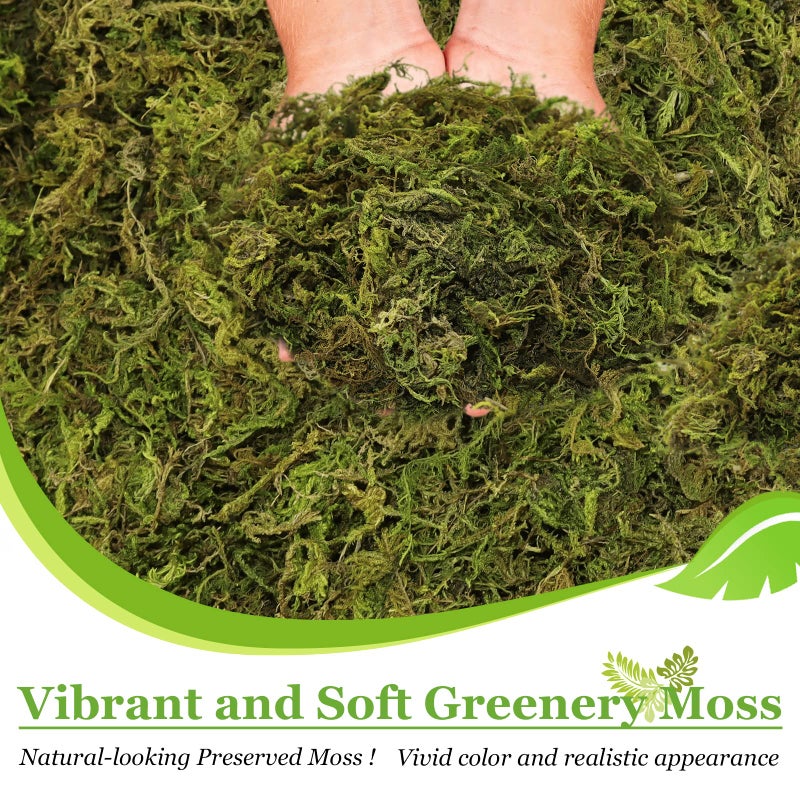 Riare 1.3LBS Artificial Fake Moss for Fake Plants Indoor- Premium Faux Craft Moss for Potted Plant, Fresh Green Moss Forest Moss for Hamsters Micro-Landscape Terrariums Centerpieces Decor - Image 4