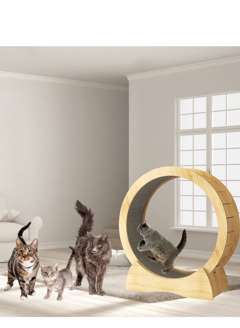 كيدل Cat ممارسة عجلة قطة طاحونة ممارسة مثالية للقطط الداخلية عجلة تشغيل للقطط الداخلية - Image 2