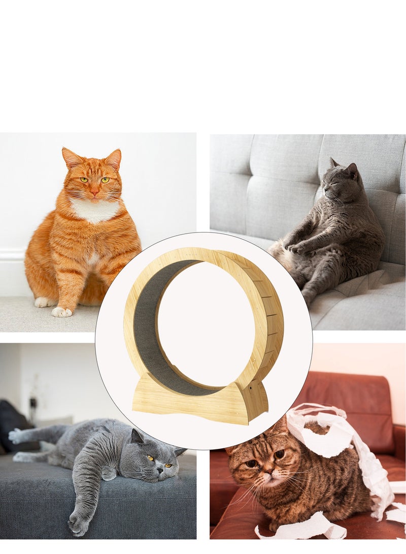 كيدل Cat ممارسة عجلة قطة طاحونة ممارسة مثالية للقطط الداخلية عجلة تشغيل للقطط الداخلية - Image 4