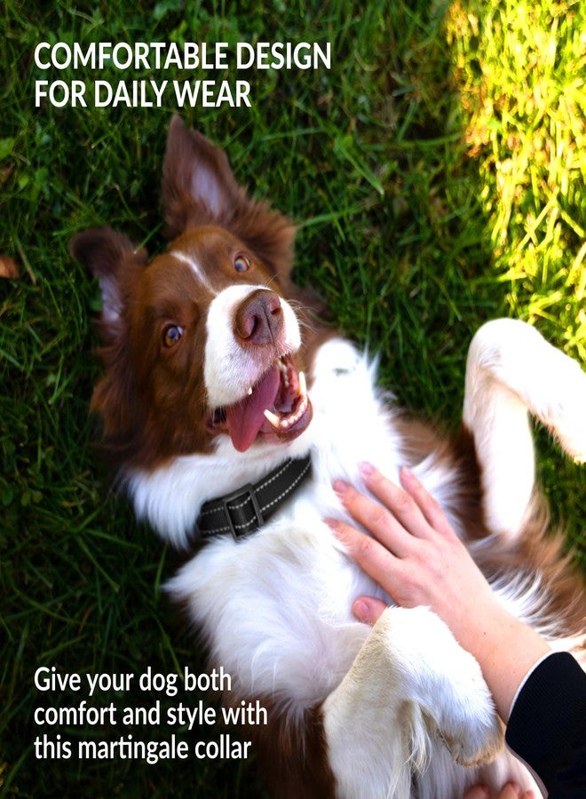 Collardirect Reflective Martingale Dog Collar Nylon Training Collars for Small Medium Large Dogs Puppy Pink Orange Green (M, Neck Size 13"-18", Black) - Image 5