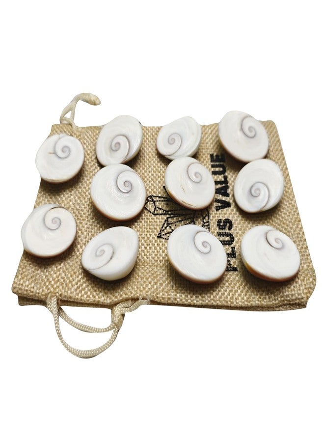 Plus Value 100% Natural Rare Gomti Gomati Chakra Original for Prosperity & Good Health | Vastu Product & Astrological Remedies from Gomthi River (11pcs) - Image 5