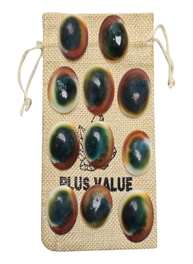 Plus Value 100% Natural Rare Gomti Gomati Chakra Original for Prosperity & Good Health | Vastu Product & Astrological Remedies from Gomthi River (11pcs) - Image 1