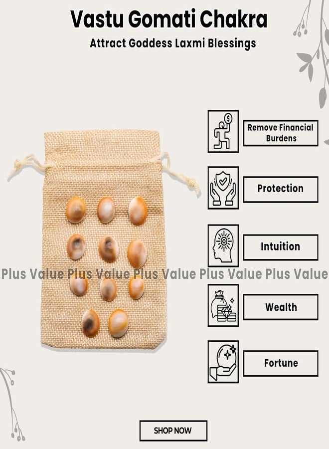 Plus Value 100% Natural Rare Gomti Gomati Chakra Original for Prosperity & Good Health | Vastu Product & Astrological Remedies from Gomthi River (11pcs) - Image 2