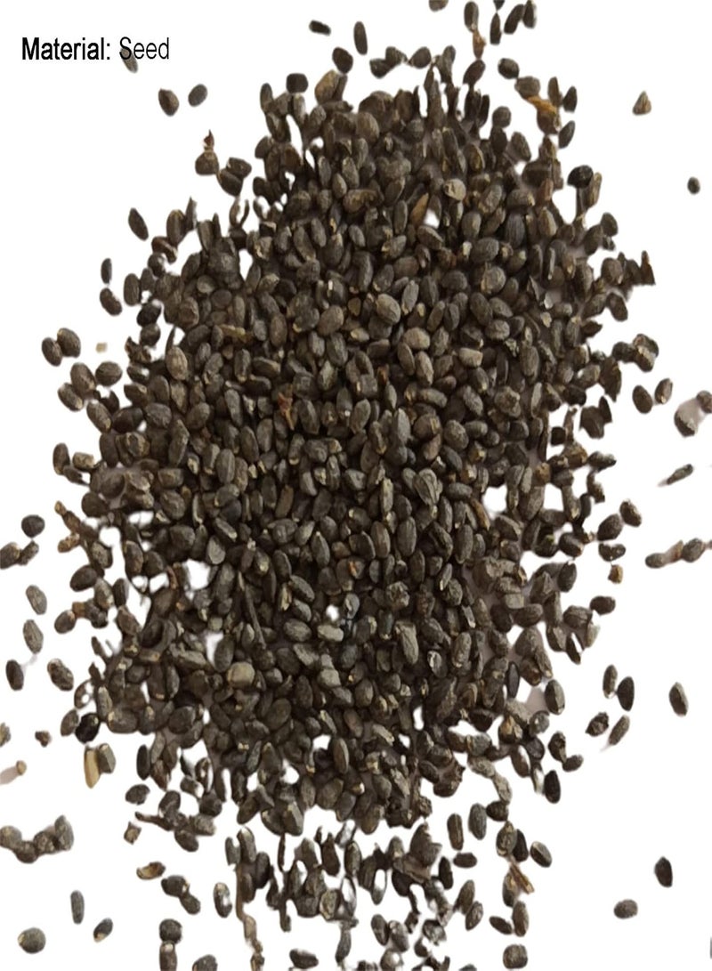 GGOOT 100pcs Grass Seeds Natural Productive Easy to Plant Bonsai Bermuda Seeds for Garden - 100 - Flower Seeds Vegetable Seeds Fruit Seeds Garden Plant Seeds for Planting - Image 5