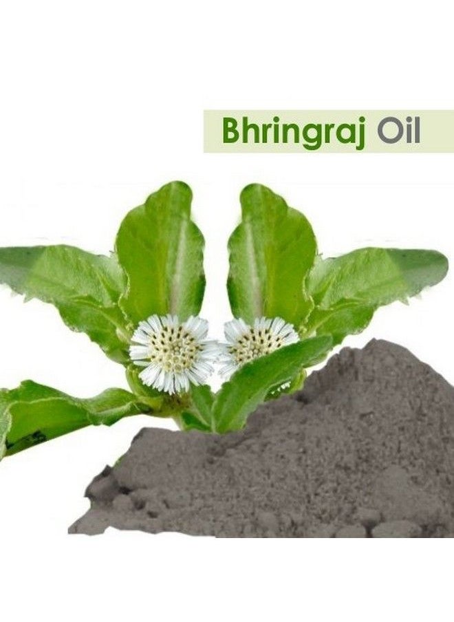 Salvia - Bhringraj Oil (Eclipta Alba) 100% Pure & Natural Undiluted Uncut Cold Pressed Premium Oil Use For Aromatherapy Skin Care & Hair Therapeutic Grade 15 Ml By Salvia - Image 1
